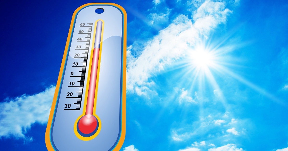Training in the Heat: Adapting Your Performance Goals for Summer